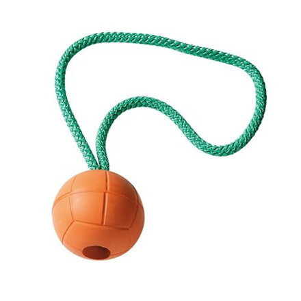 Hračka pro psa motivační hračka míček s poutkem 5,9cm