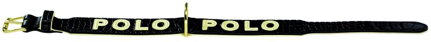 Obojek Polo