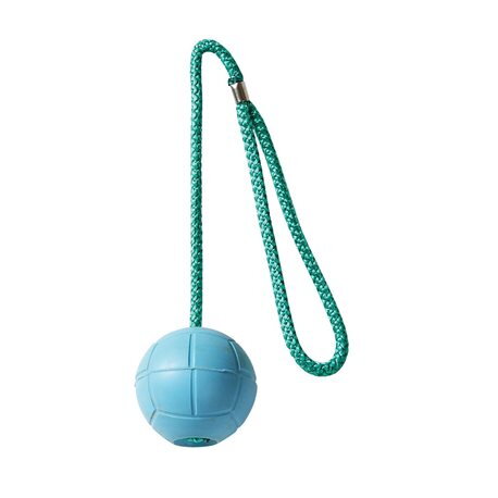 Hračka pro psy míček na šňůrce 6,5cm s poutkem