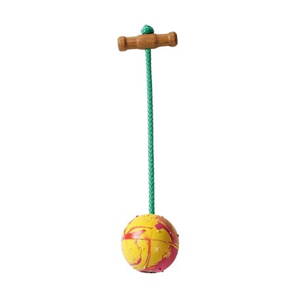 Výcviková hračka pro psy míček na šňůrce 6cm